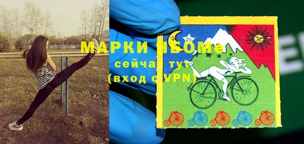 молекула духа Надым